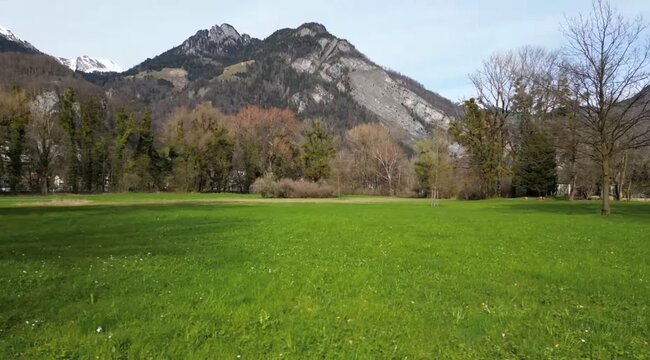 Lush Green Alpine Meadow with Majestic Rocky Mountains Under Clear SkyPeaceful spring landscape: a vast bright green grassy field stretches in the foreground, framed by mixed trees and towering rugged