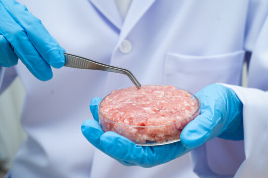 Scientist holding Petri dish with meat in science laboratory for food product development.