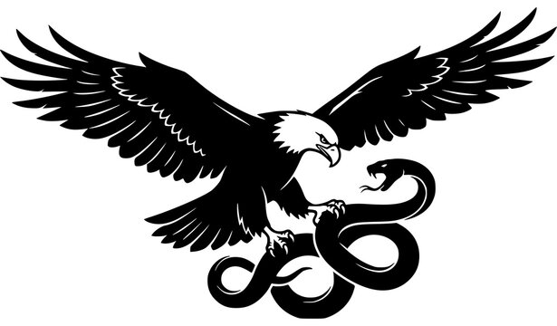 Eagle Fighting Snake Dramatic Wildlife Silhouette Vector