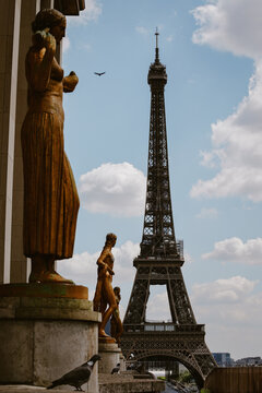 Paris, France - 06 May 2022: View of the Eiffel Tower framed by golden statues and stone pillars under a blue sky with scattered clouds, with a pigeon perched in the foreground.
