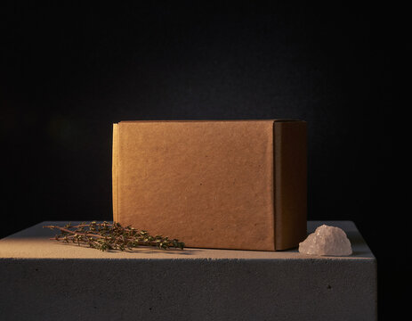 Blank kraft cardboard soap box mockup on concrete pedestal with dried thyme and sea salt