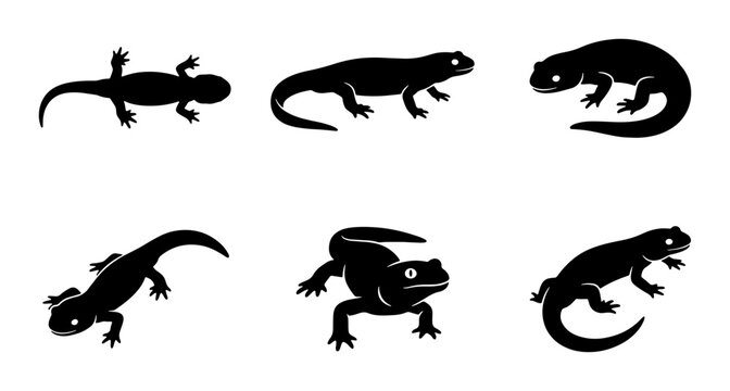 Six Black Salamander Silhouettes, Amphibian Vector Icons, Reptile Wildlife Graphics