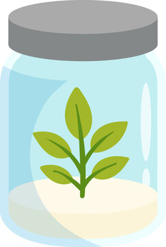 Small green seedling growing inside a glass jar for ecology and nature preservation