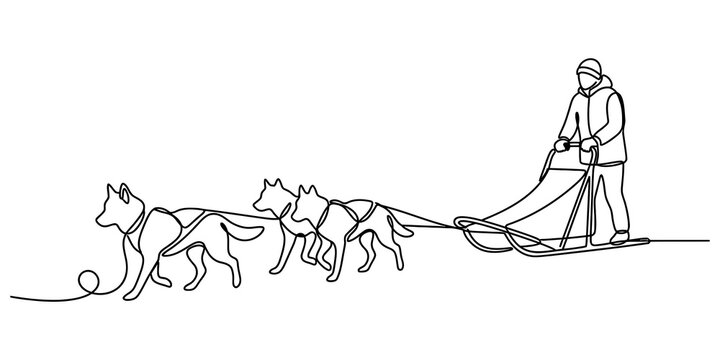 Continuous line drawing of a musher driving a dog sled with a team of husky dogs running in the winter snow