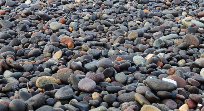 Close-up of natural wet pebbles and smooth river rocks on a beach shore, creating a textured surface polished by water and waves.