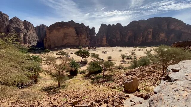 A scenic view of the rugged sandstone mountains and acacia trees in the Wadi Al-Disah valley, a popular tourist destination in the Tabuk region of Saudi Arabia.