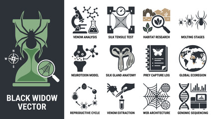 Fototapeta premium Black widow vector scientific research and lab icons