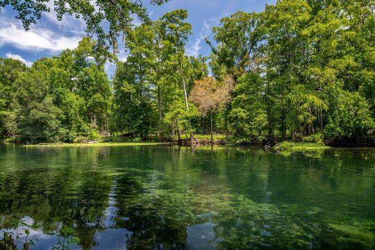 Ginnie Springs and Santa Fe River, Florida