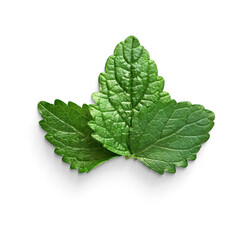 Mint leaves isolated. Fresh min leaves cutout for herbal, botanical, culinary, natural, wellness on transparent background © Wiwi