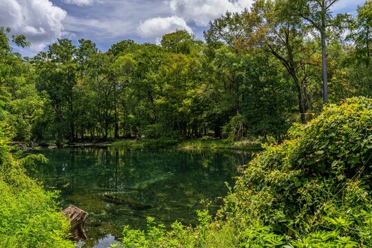 Ginnie Springs and Santa Fe River, Florida