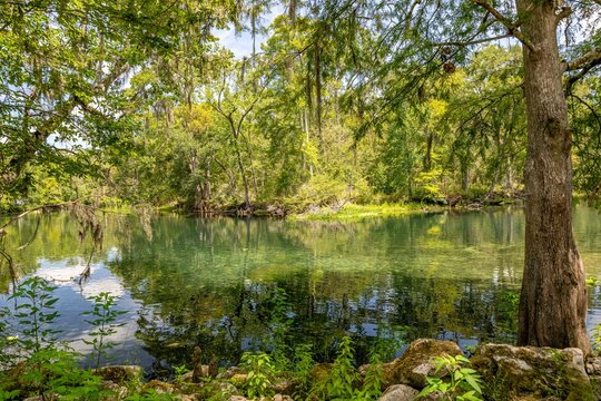 Ginnie Springs and Santa Fe River, Florida
