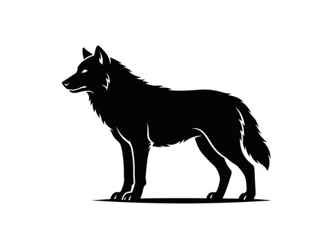 wolf vector illustration