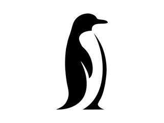penguin vector illustration