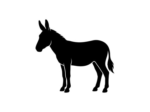 donkey vector illustration