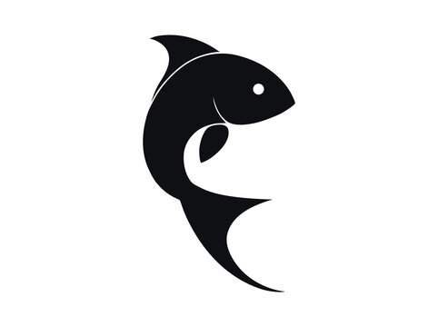 dolphin vector illustration