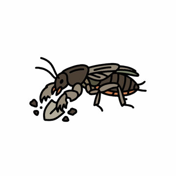 Insect digging with shovel illustration