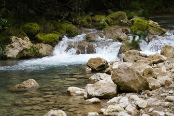 Mossy Rocky Stream with Small Cascades in Forest © TrieuHao