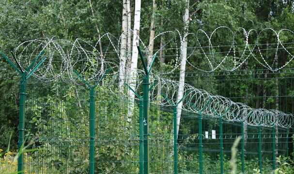 In the forest, there is a green metal fence with barbed wire on top