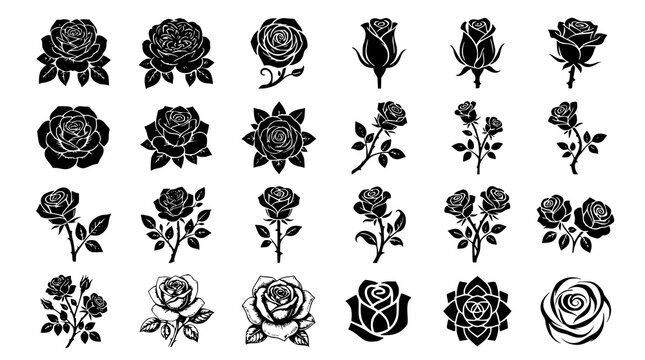 :
Rose Botanical Vector Illustration Icon Set 24 Unique Black White Floral Designs