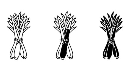 Obraz premium Lemongrass Bundles Vector Icons, Fresh Herb Illustration, Culinary Ingredient Graphics, Organic Food Elements
