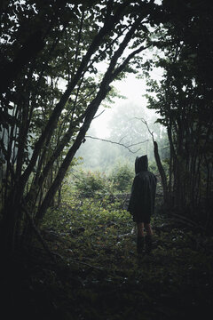 View of a person wearing a dark raincoat and hood standing in a misty, dense forest on Vormsi island with tall trees and lush undergrowth. Laane County, Estonia.