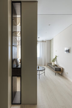 Modern Apartment Interior with Built-In Open Shelving Unit and Living Room View