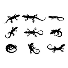 Fototapeta premium Set of Black Silhouette Lizards and Geckos in Various Posing Positions Isolated on a White Background for Nature Design