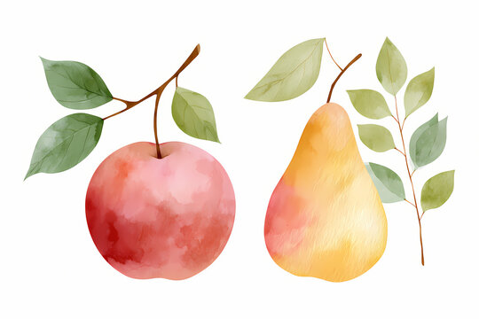 Watercolor apple and pear isolated on white background