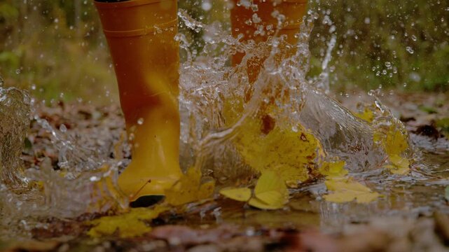 CLOSE UP, SLOW MOTION: Yellow rubber boots hit a shallow puddle and send water flying across wet autumn leaves. Energetic splash on a lively walk through the rainy forest in colourful fall season.