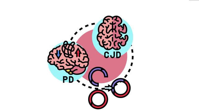 Diagram the infectious process of abnormal prions spreading between brain regions