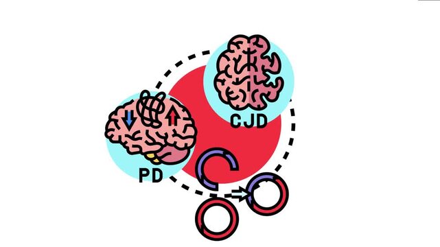 Studying abnormal protein folding processes includes understanding mechanisms of neurodegenerative disorders like creutzfeldt jakob disease and parkinson's disease, impacting neural health