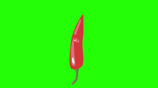 A vibrant, hand-drawn red chili pepper rotating 4K stock animation video on green screen for chroma key background in video editing.