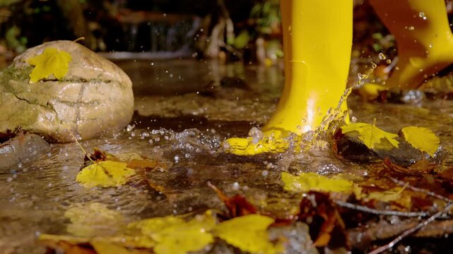 CLOSE UP, SLOW MOTION, LOW ANGLE VIEW Yellow rubber boots wading through forest creek on sunny autumn day. Water splashes around fallen leaves and wet stones. Playful moment from October woodland walk