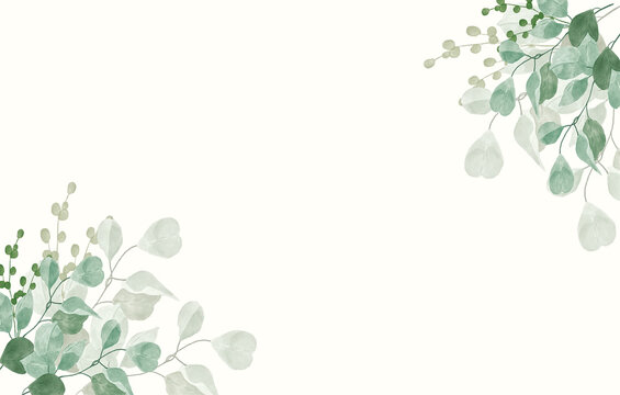 Watercolor Green Eucalyptus Floral Border Background