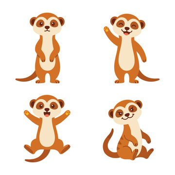 Flat vector illustration set of cute meerkat wild animal characters