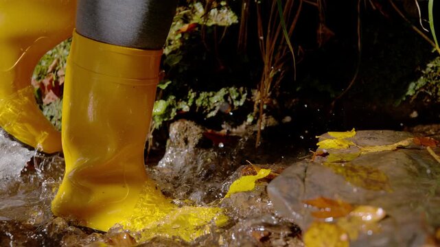 CLOSE UP, SLOW MOTION, LOW ANGLE VIEW Person in yellow boots walking along forest brook in sunny autumn light. Splashing water and scattered leaves create a colorful scene from an October nature walk