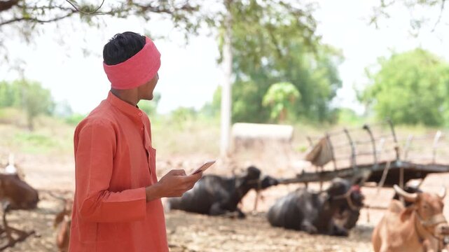 young indian farmer using smartphone at buffalo farm