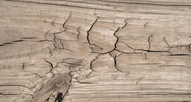 Textura de madera envejecida con grietas profundas y vetas naturales como fondo r&uacute;stico de alta resoluci&oacute;n