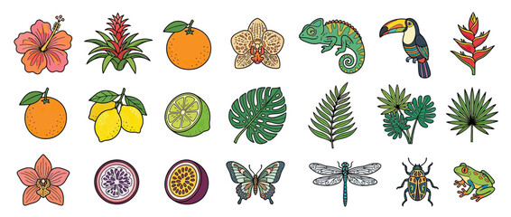 Tropical Collection: Exotic Flora, Fauna, and Fruits Isolated © Lilis