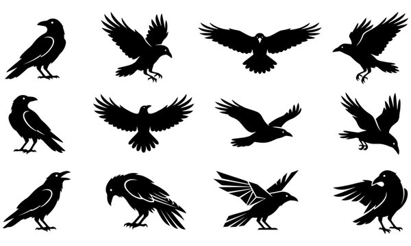 Black silhouettes of flying crows in formation