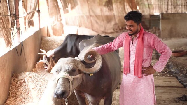 young indian farmer standing at buffalo farm