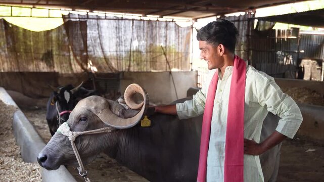 young indian farmer standing at buffalo farm
