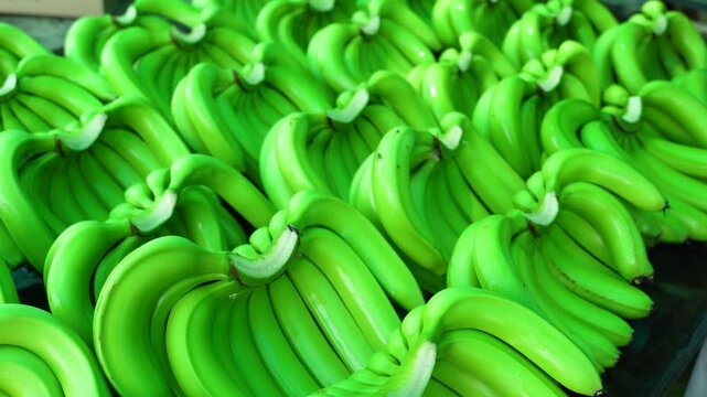 close up of bunch of green bananas