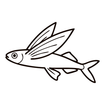 Flying Fish Vector Icon Line Art Illustration for Seafood Menu and Ocean Life Design