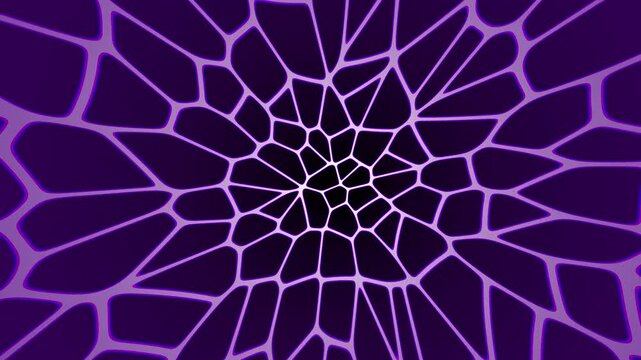 Abstract purple radial crack pattern with intricate geometric cells