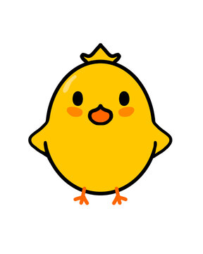 Lovely Little Chick