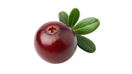 Fresh red cranberry fruit with green leaves isolated on a white background berry © James