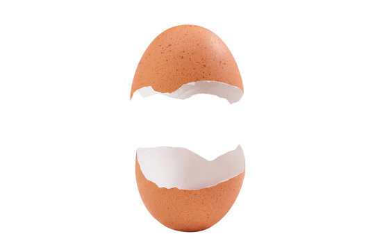 Two Halves of a Broken Brown Eggshell Separated on Dark Surface