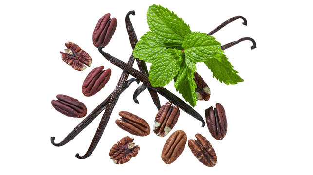 Whole and halved pecans with vanilla beans and fresh mint leaves, isolated on transparent background