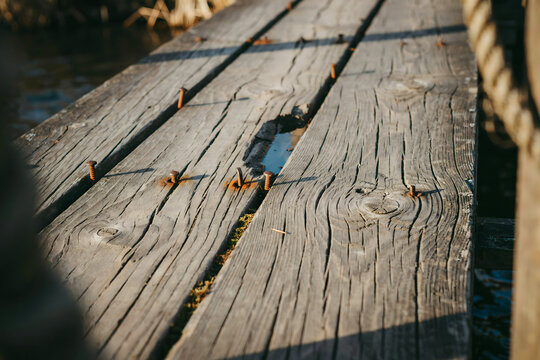 Weathered wooden planks of an old pier with rusted metal nails and visible wood grain texture under natural sunlight near the water surface